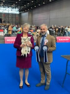 Chihuahua LOF Des Étoiles de Nice, WDS Asti et Umka