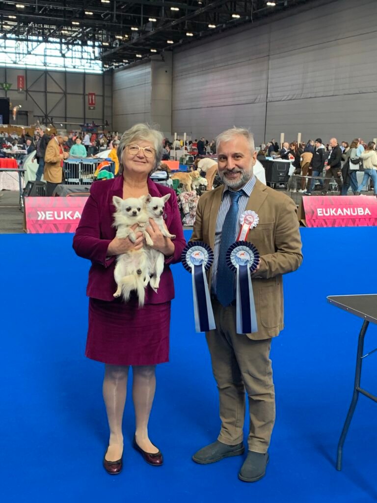 Chihuahua LOF Des Étoiles de Nice, WDS Asti et Umka