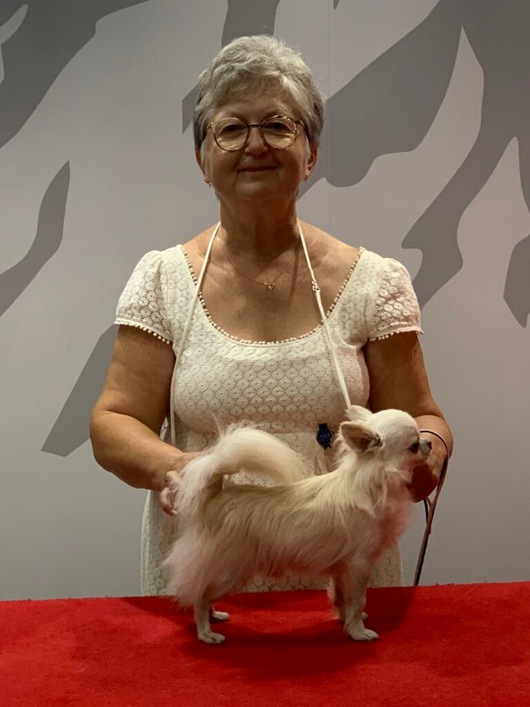 Chihuahua LOF Des Étoiles de Nice, Asti WDS SUISSE