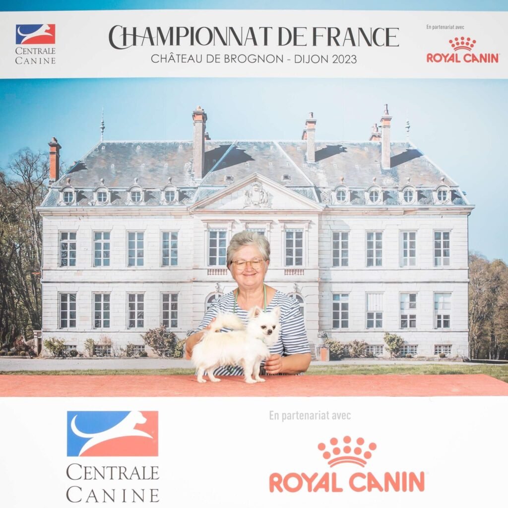 Chihuahua LOF Des Étoiles de Nice, Asti Championnat de France