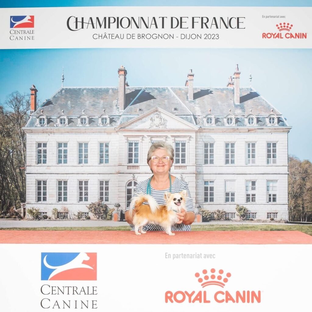 Chihuahua LOF Des Étoiles de Nice, Lookum is SolinasbChampionnat de France